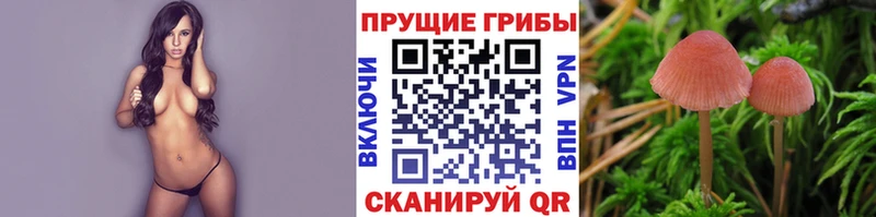 Псилоцибиновые грибы мухоморы  даркнет сайт  Алдан 